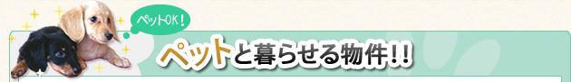 ペットと暮らせる物件！